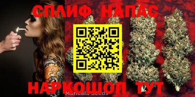 мет Дмитров