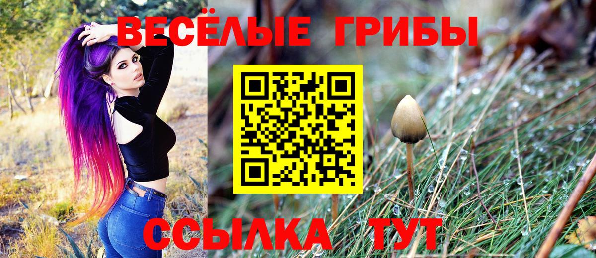 Галлюциногенные грибы прущие грибы Бугуруслан