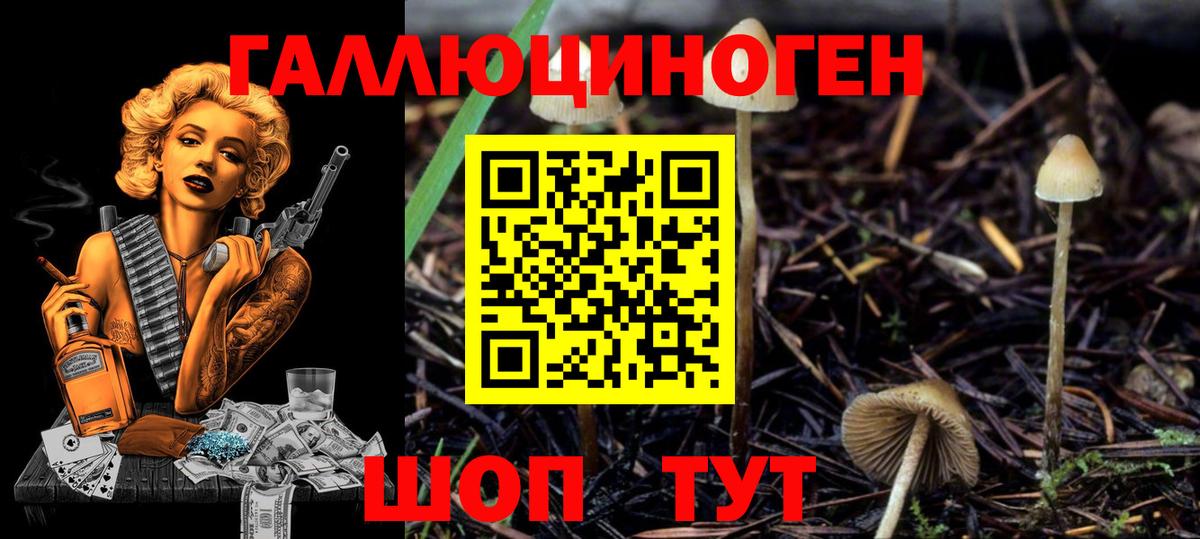 Бугуруслан  Псилоцибиновые грибы мицелий  Псилоцибиновые грибы Psilocybe  Вход с VPN 